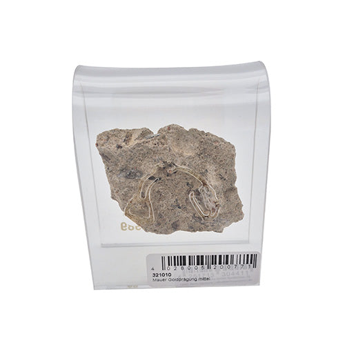 Mauer Goldprägung mittel Acrylbogen