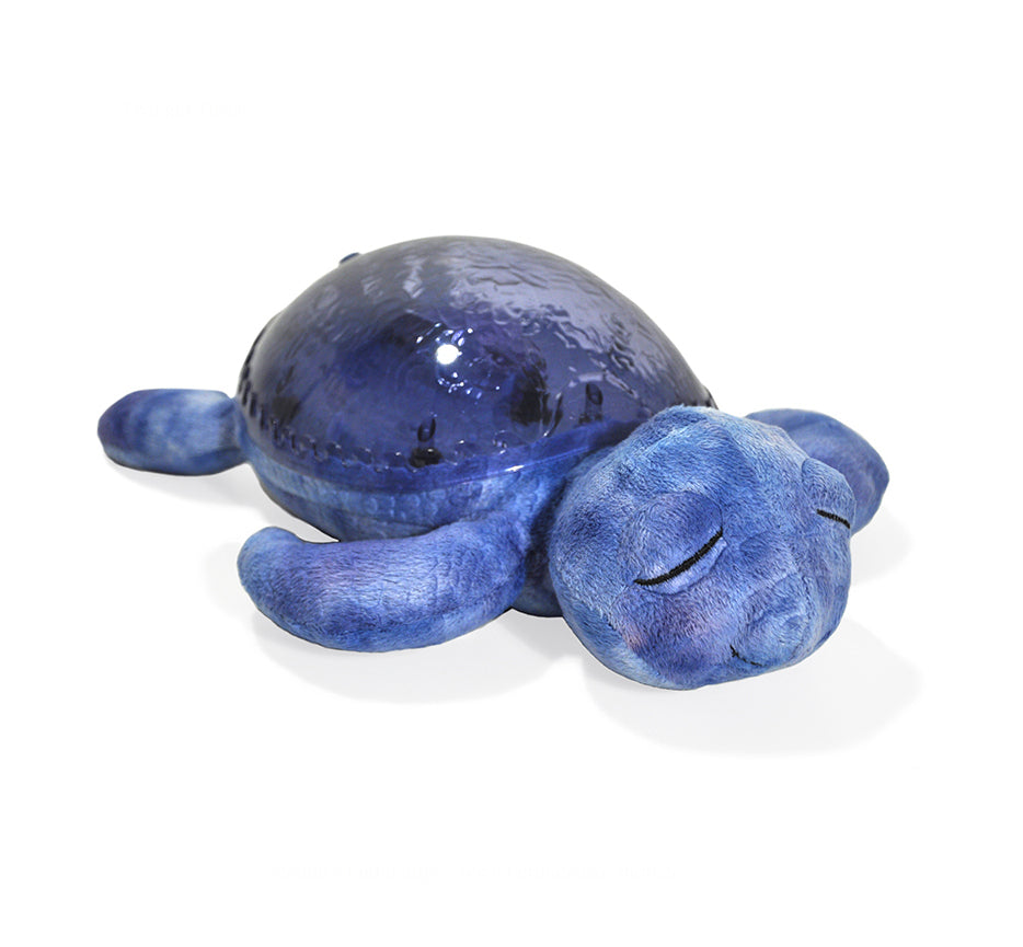 Tranquil-turtle-Ocean-berlindeluxe-blau-schildkroete-box-berlindeluxe