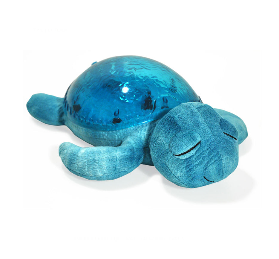 Tranquil Turtle Aqua